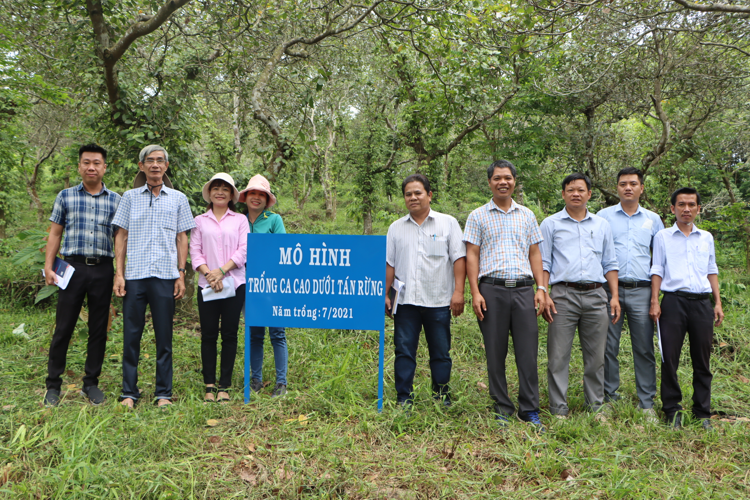 Kiểm tra tiến độ thực hiện Đề tài: “Nghiên cứu tổng hợp biện pháp kỹ thuật trồng ca cao dưới tán rừng tại Đồng Nai”